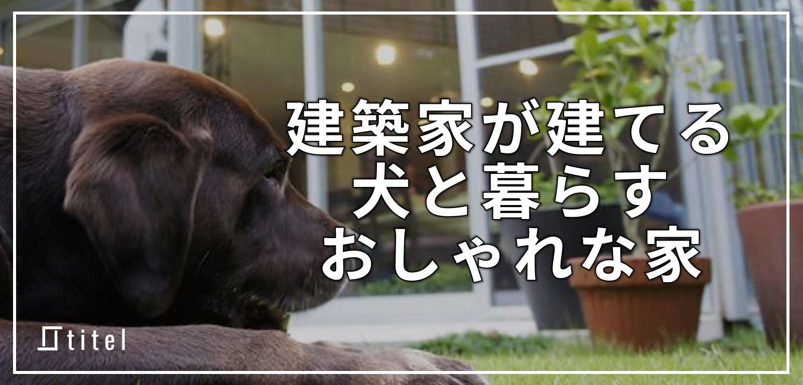 【写真付き】建築家が建てる「犬と暮らすおしゃれな家」